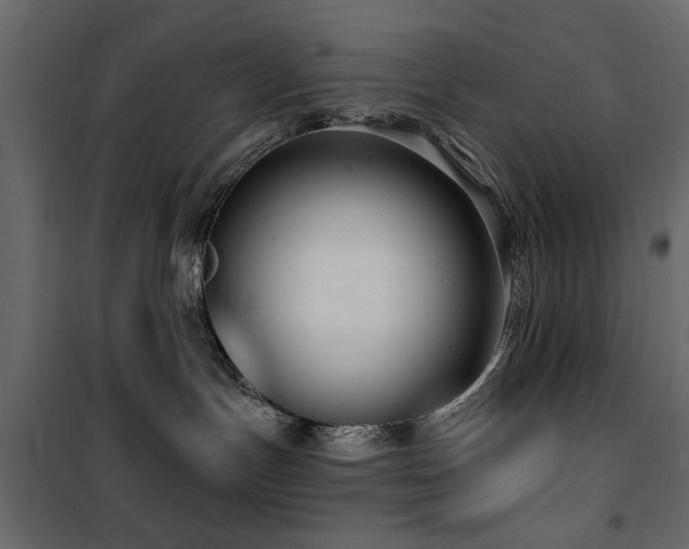 X0000100750191200806191152