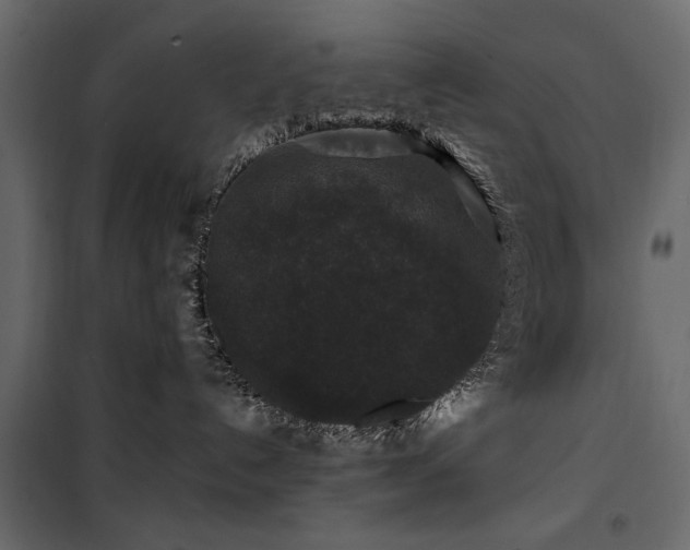 X0000100750192200806191152