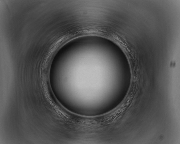 X0000100750193200806191152