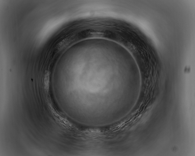 X0000100750194200806191152