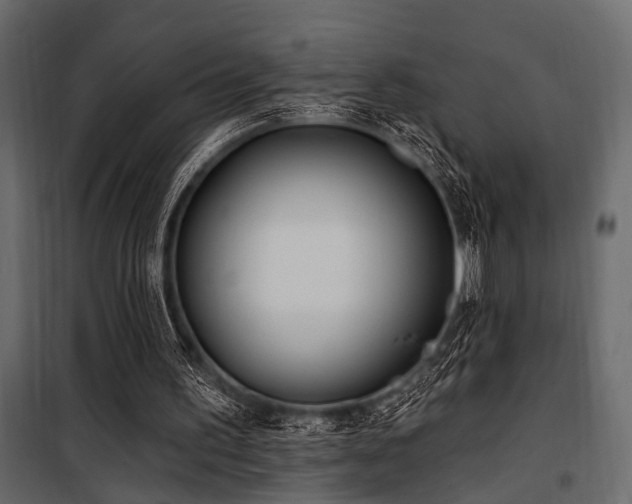 X0000100750195200806191152