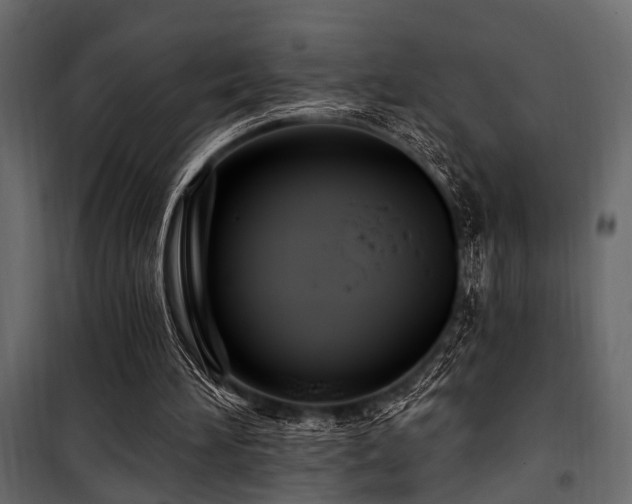 X0000100750196200806191152