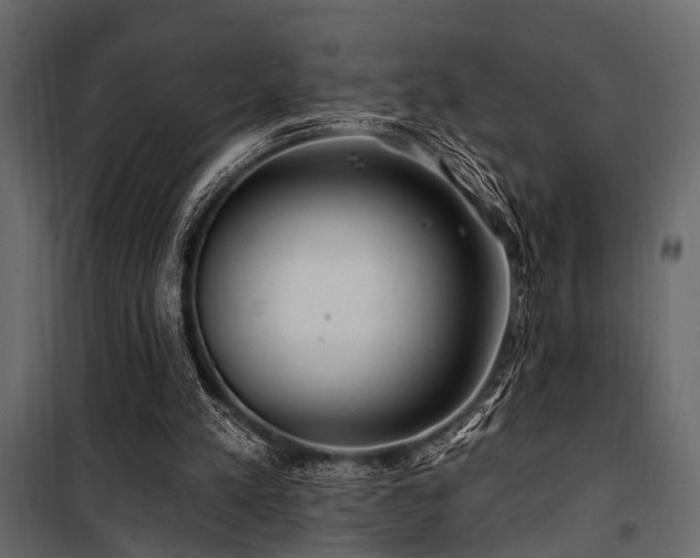 X0000100750197200806191152