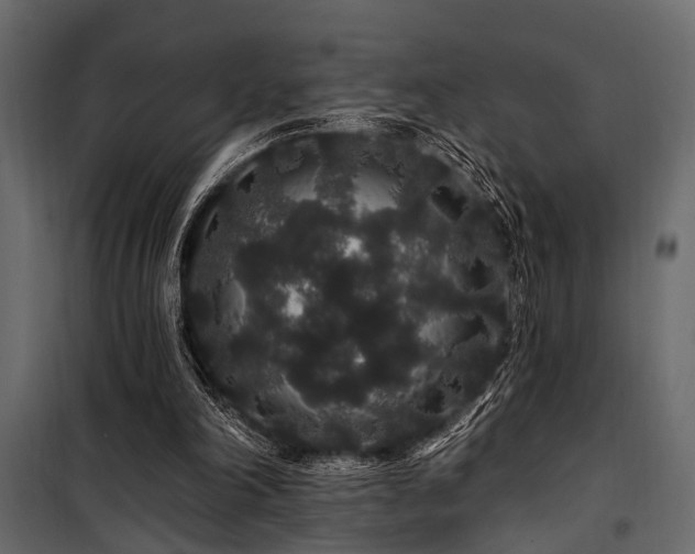 X0000100750198200806191152