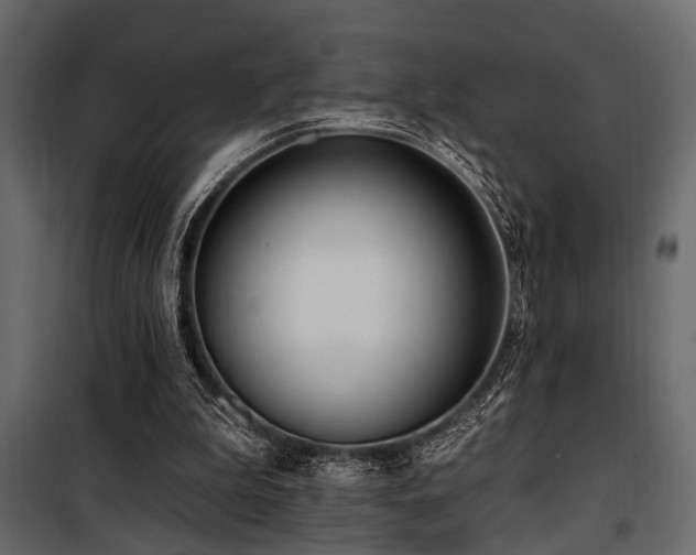 X0000100750199200806191152