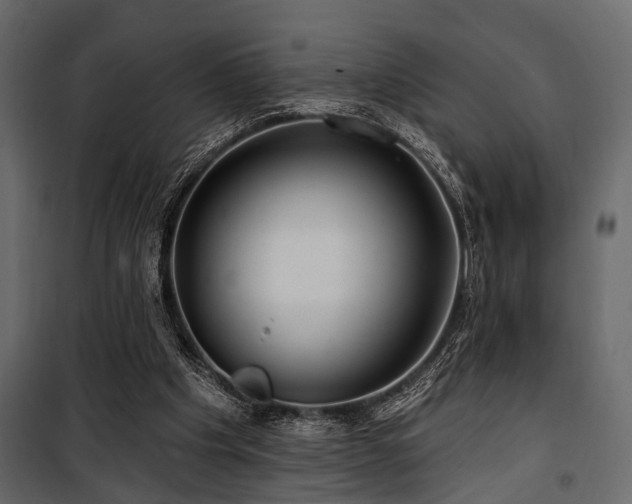 X0000100750201200806191152