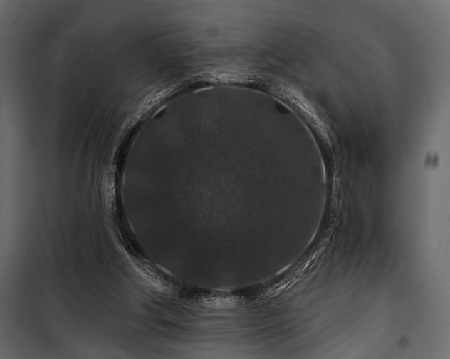 X0000100750202200806191151