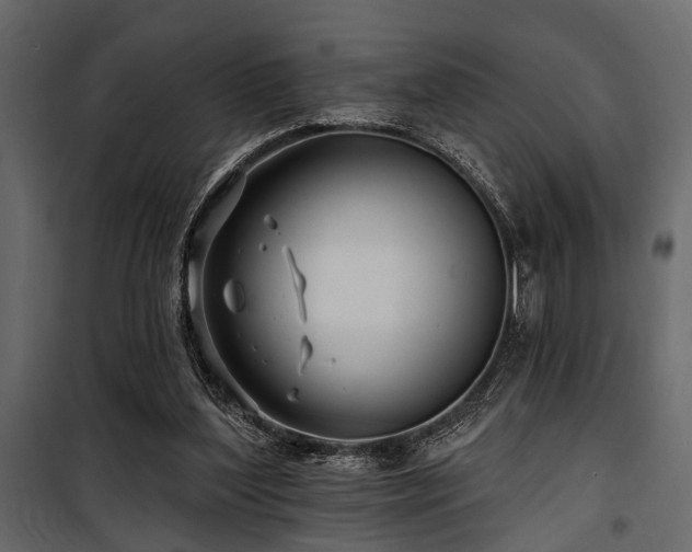 X0000100750204200806191151