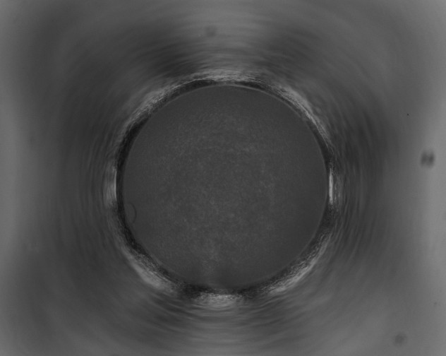 X0000100750205200806191151