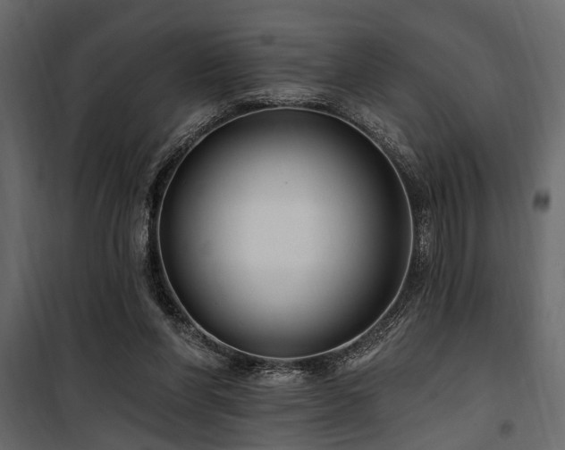 X0000100750206200806191151