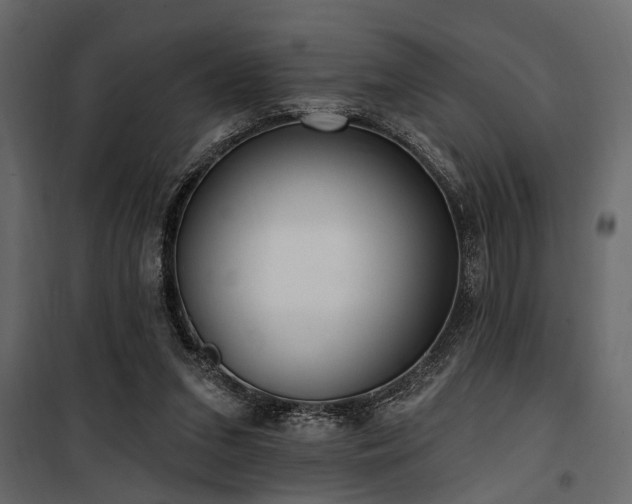 X0000100750207200806191151