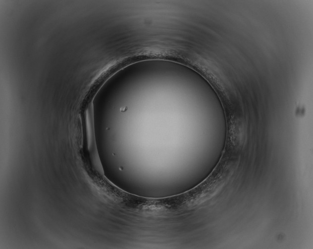 X0000100750208200806191151