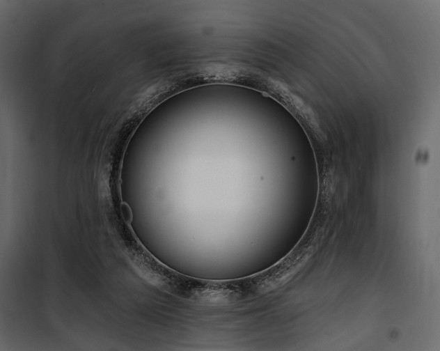 X0000100750209200806191151