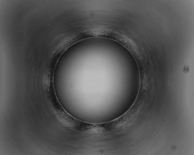 X0000100750210200806191151