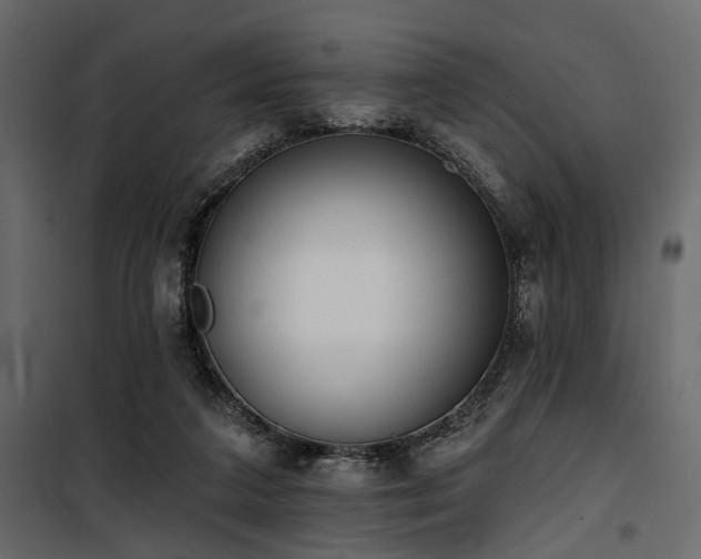 X0000100750211200806191151