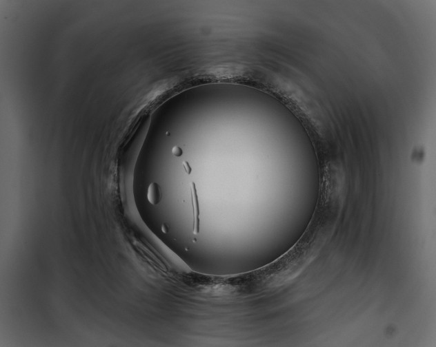 X0000100750212200806191151