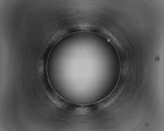 X0000100750213200806191151