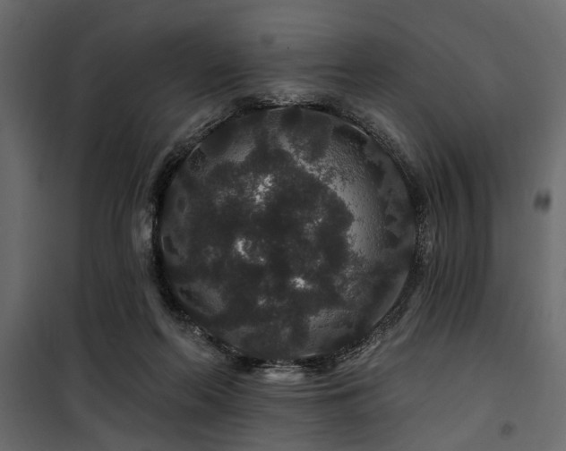 X0000100750214200806191151