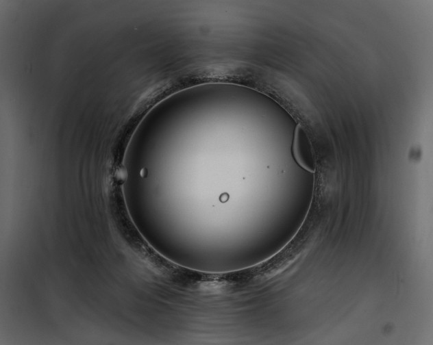 X0000100750216200806191151