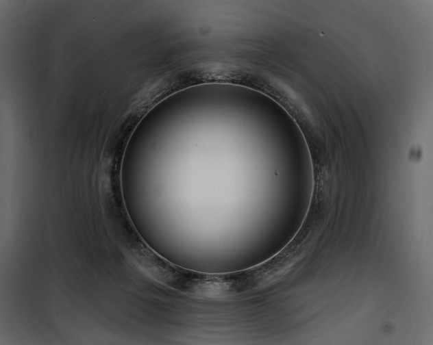 X0000100750217200806191151