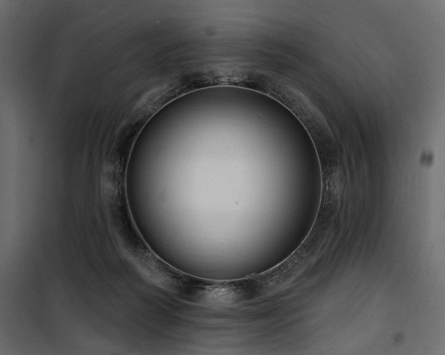 X0000100750218200806191151