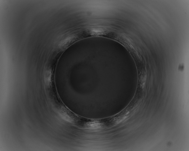 X0000100750219200806191151