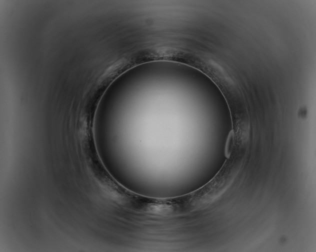 X0000100750220200806191151