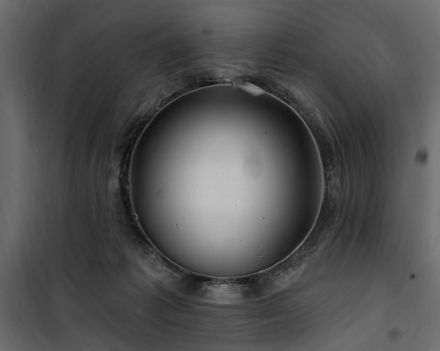 X0000100750221200806191151