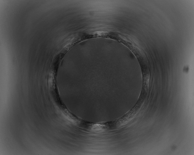 X0000100750222200806191151