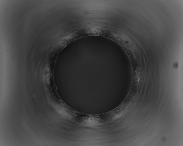 X0000100750223200806191151