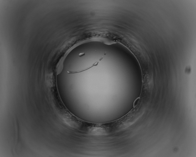 X0000100750224200806191151