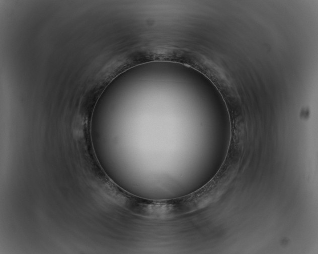 X0000100750225200806191151