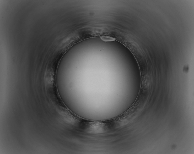 X0000100750226200806191151