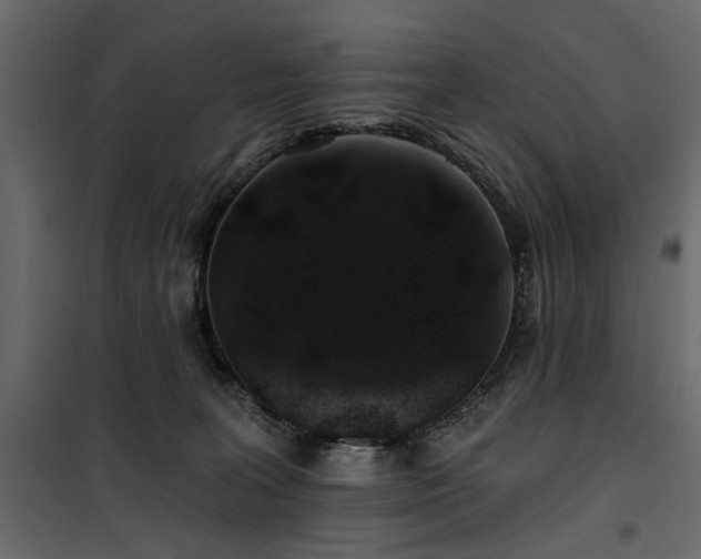 X0000100750227200806191151