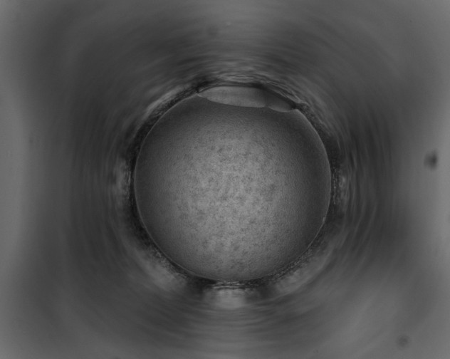 X0000100750228200806191151