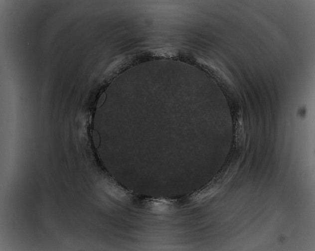 X0000100750229200806191151