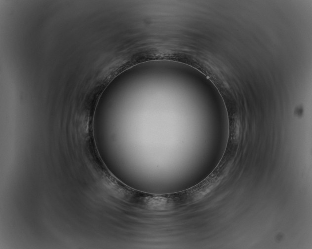 X0000100750230200806191151