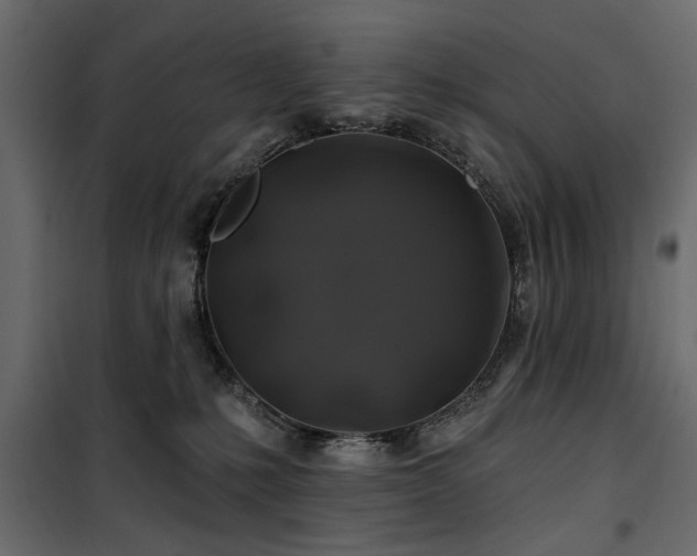 X0000100750231200806191151