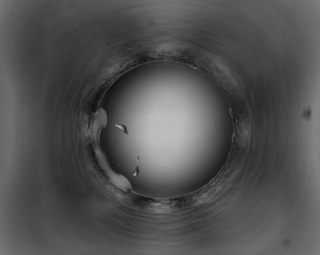 X0000100750232200806191151