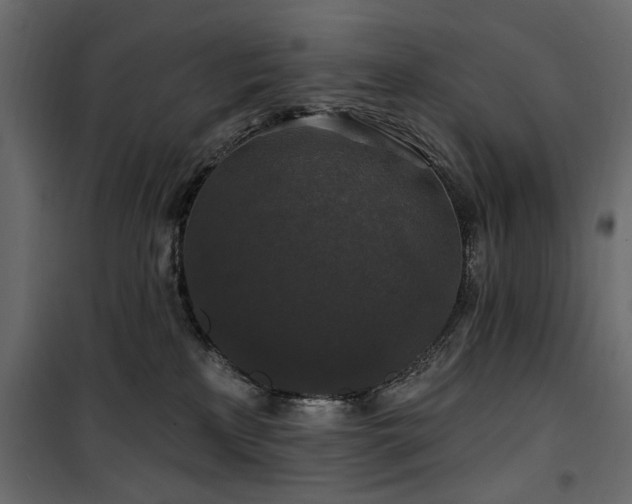 X0000100750233200806191151