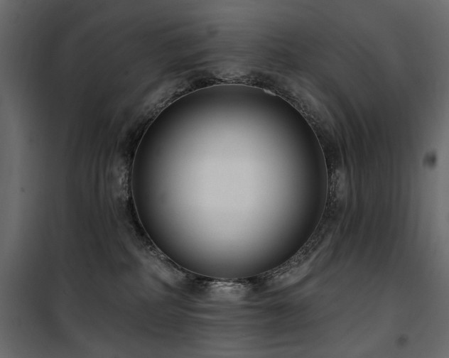 X0000100750234200806191151