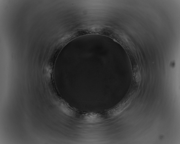 X0000100750235200806191151