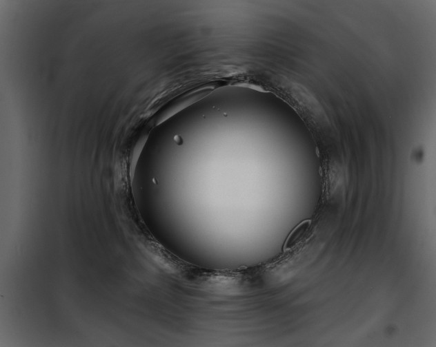 X0000100750236200806191151