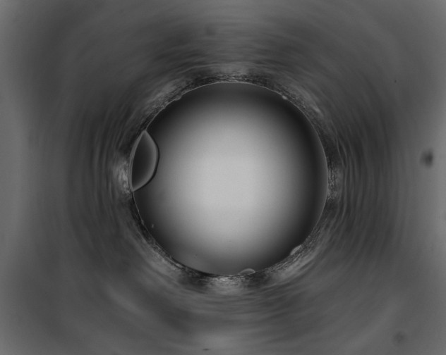 X0000100750238200806191151