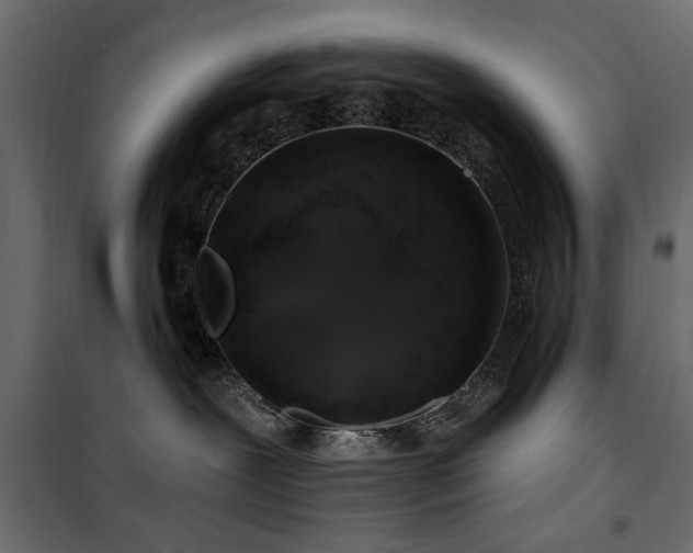 X0000100750239200806191151