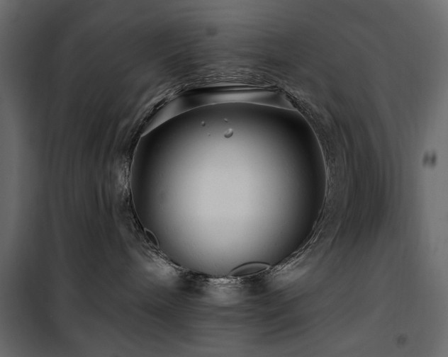 X0000100750240200806191151