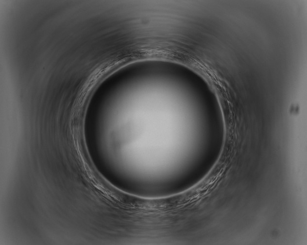 X0000100750241200806191150