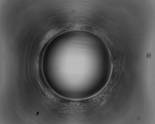 X0000100750242200806191150