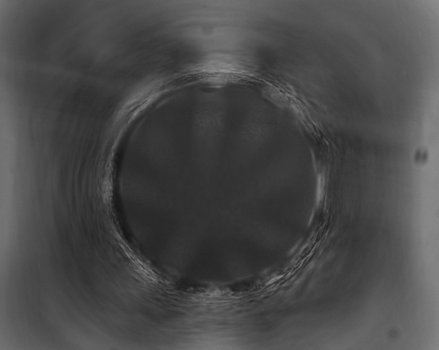 X0000100750243200806191150