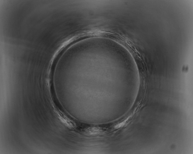 X0000100750244200806191150